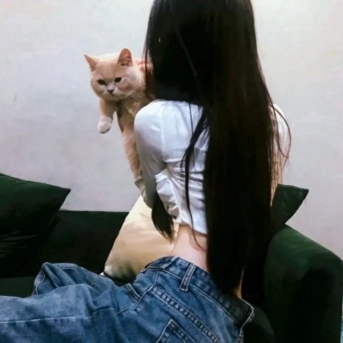 仁义 在线观看