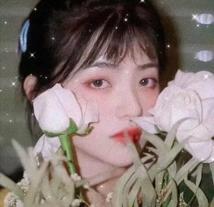 新闻女王国语 在线观看